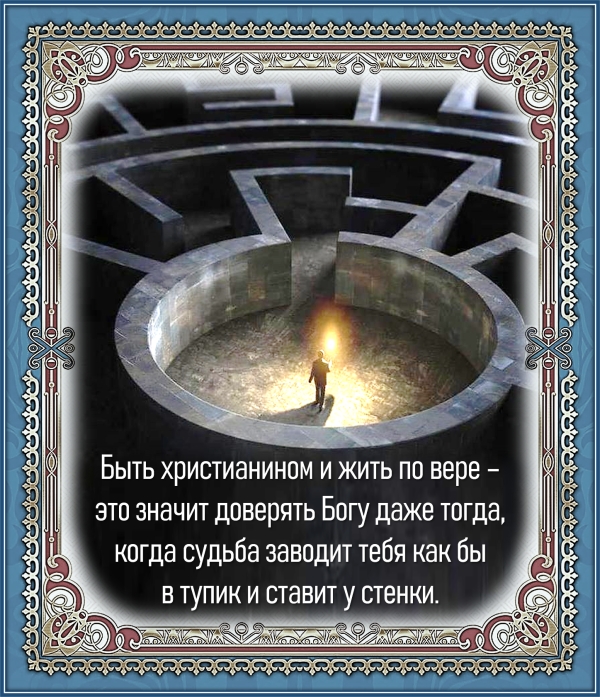 Цитата