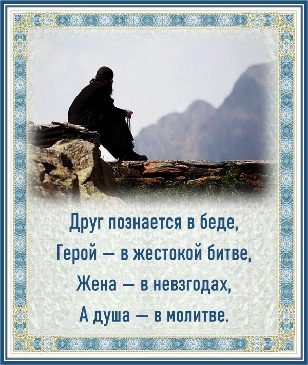 Цитата