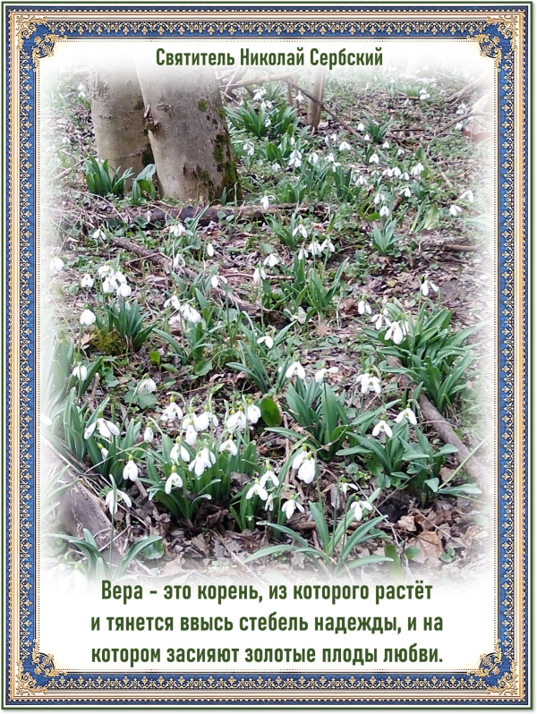 Святитель Николай Сербский