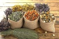 ОСЕННИЙ СБОР ТРАВ И ЯГОД