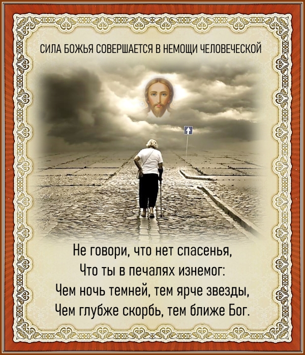 Цитата