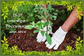 Российские дни леса