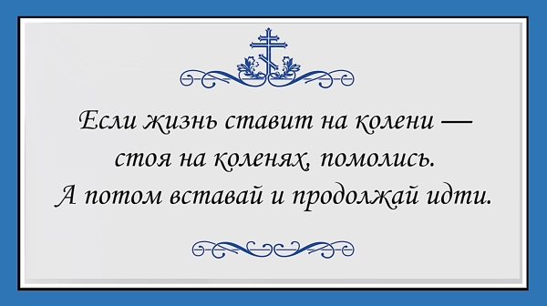 Цитата