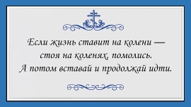 Цитата