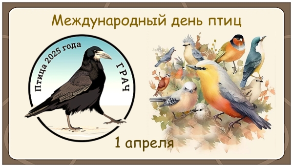 Международный день птиц