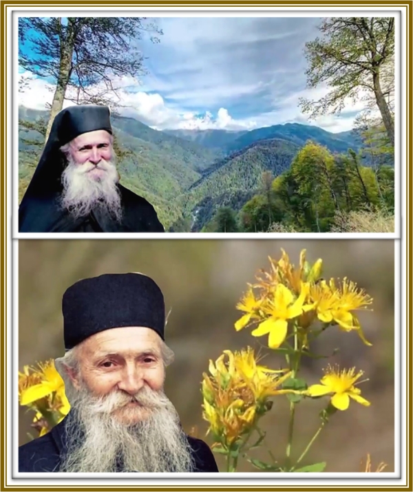 Состояние души