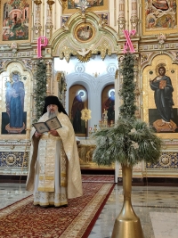 Рождественское великое повечерие с литией и утреня