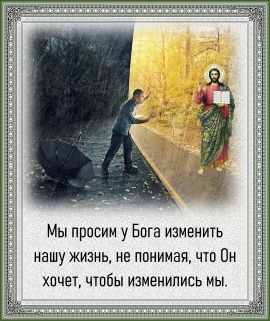 Цитата