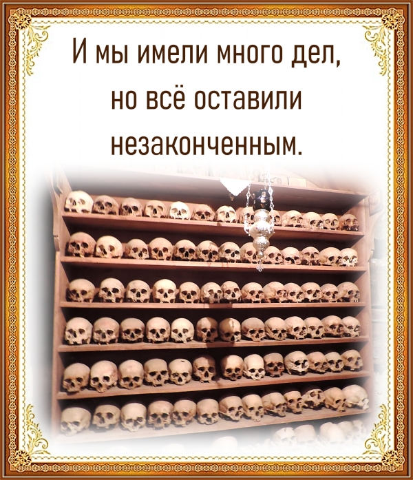 Цитата дня