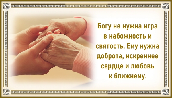 Цитата дня