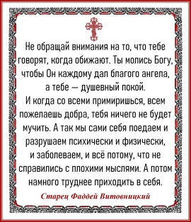 Старец Фаддей Витовницкий