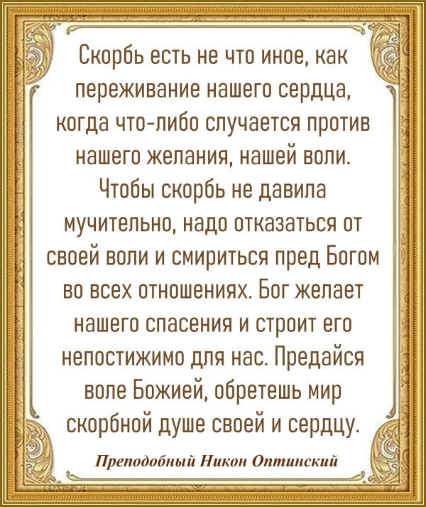 Преподобный Никон Оптинский