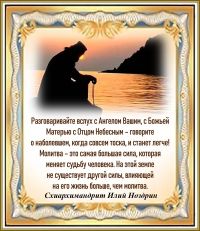 Схиархимандрит Илий Ноздрин