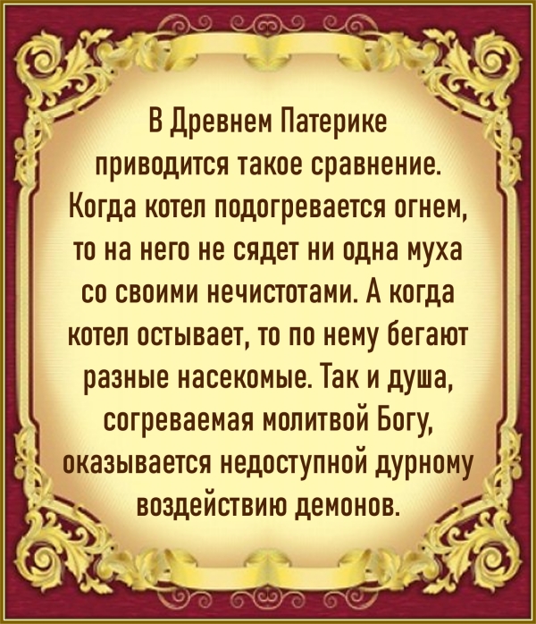 Цитата