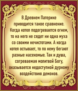 Цитата