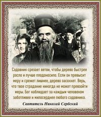 Святитель Николай Сербский