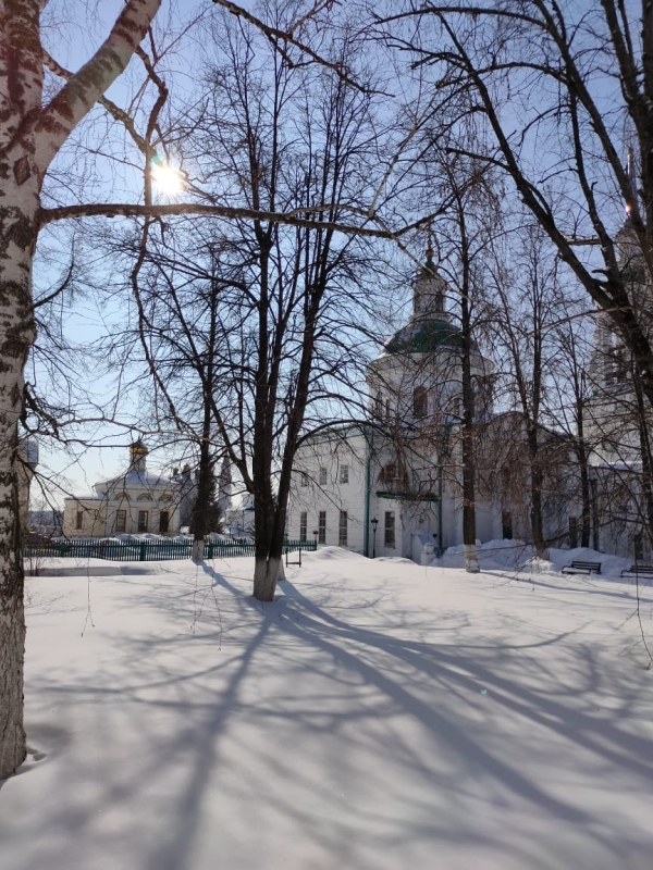Яркое солнце морозного дня