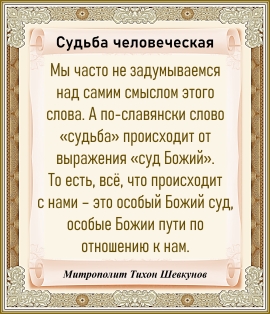 Митрополит Тихон Шевкунов