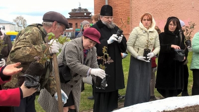 Акция посадки роз в Верхотурском благочинии в День защиты детей