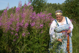 Белый цвет июля