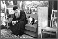 Святоотеческие наставления старца Фаддея Витовницкого