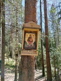 Актайский лес