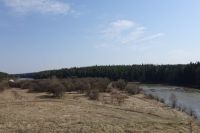 Яблоневый сад