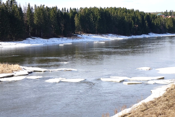 На реке Туре прошёл ледоход