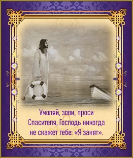Цитата