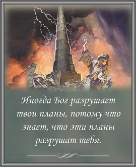 Цитата дня