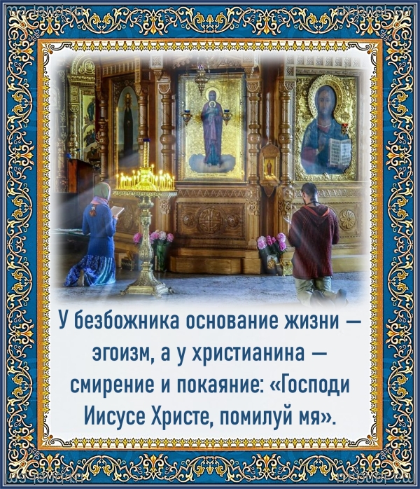 Цитата