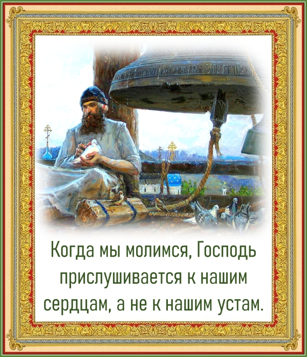Цитата