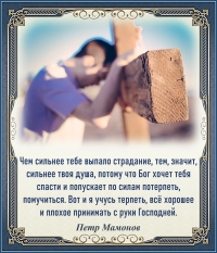 Петр Мамонов