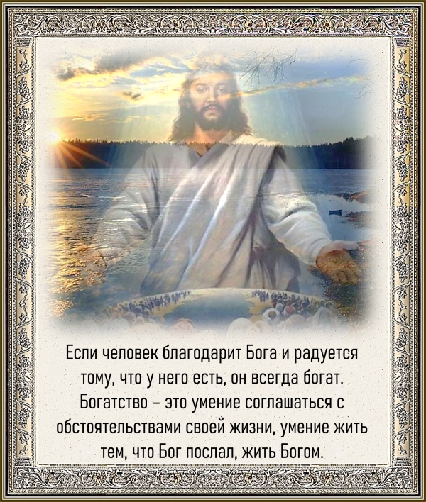 Цитата