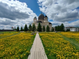 Одуванчиковый рай