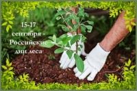 РОССИЙСКИЕ ДНИ ЛЕСА