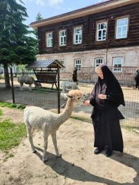 Контактный зоопарк в Покровском монастыре