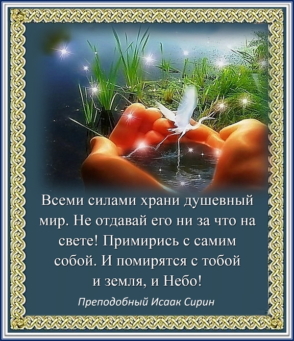 Цитата