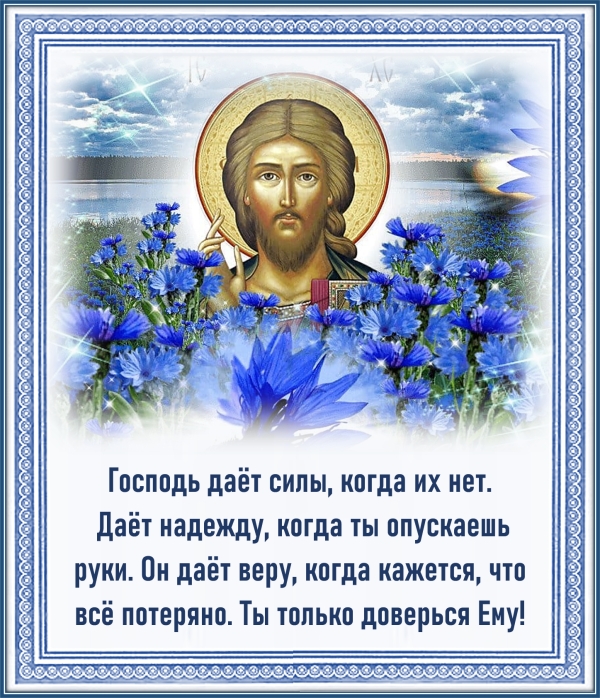 Цитата