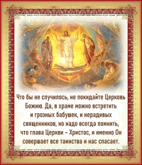 Цитата