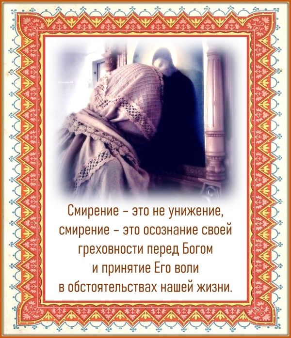 Цитата