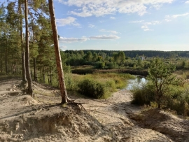 Осенняя прогулка в лес