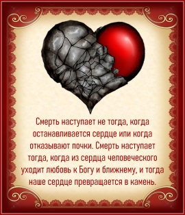 Цитата